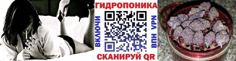 Как найти наркотики Лосино-Петровский Конопля  СОЛЬ  Меф мяу мяу 