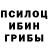 Галлюциногенные грибы прущие грибы Danila Palamarchuk