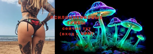 трава Абдулино