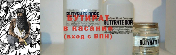 индика Абаза
