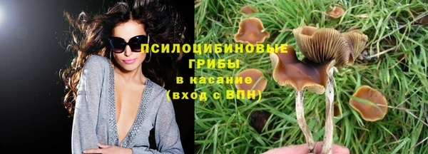 кокс Алзамай