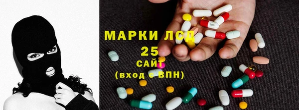 индика Абаза