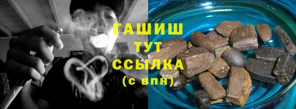 индика Абаза