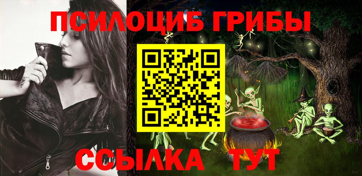 Псилоцибиновые грибы GOLDEN TEACHER  Вход с VPN  Лосино-Петровский 
