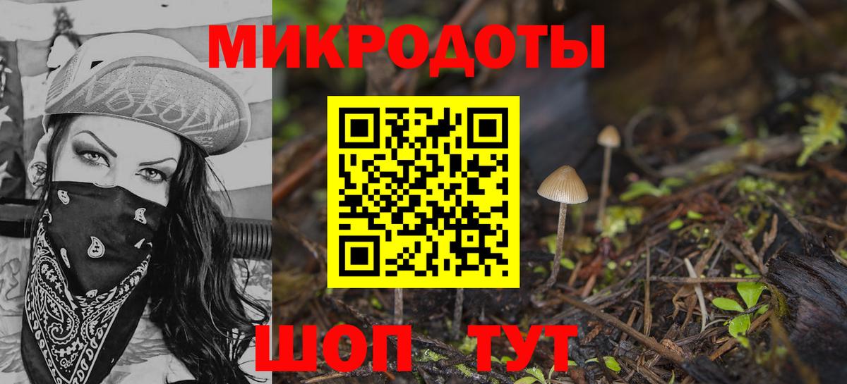 Галлюциногенные грибы прущие грибы Лосино-Петровский